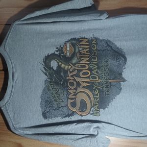 Harley Davidson tail of the dragon T-shirt Large